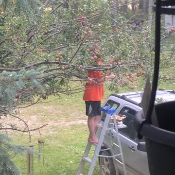 Chicken Clips: Chickens Fueled By Kangen Electrolyzed Water