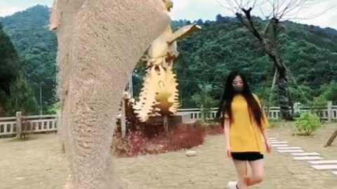 Stachu Shorts video