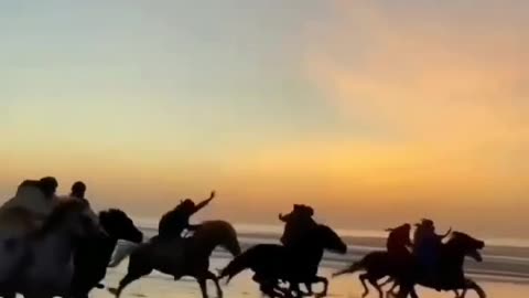 horse running at sunset