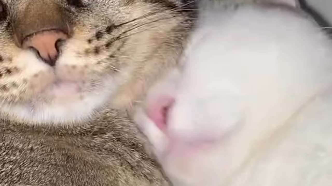Love story