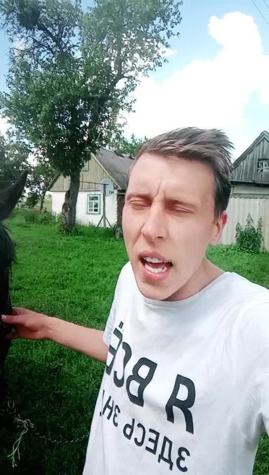 Horse лошадь гуляет