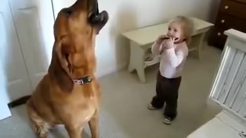 Baby with his dog