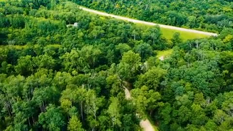 A road built through plantation