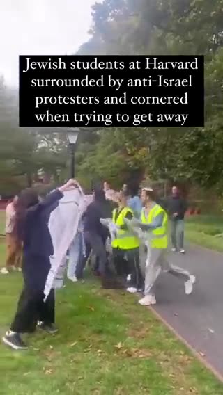 Harvard students protesting against Israel surround a Jewish student and stop him