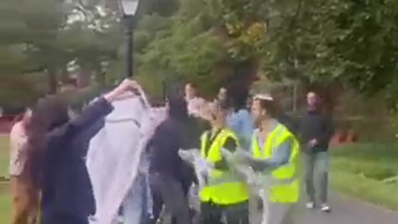 Harvard students protesting against Israel surround a Jewish student and stop him