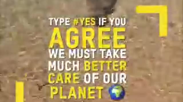 There is so much beauty, so much significance in this encounter between an octupus and two children