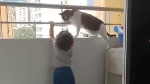 A stuttering cat saves a child from suicide