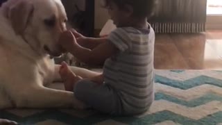 Child saying hello to Dog