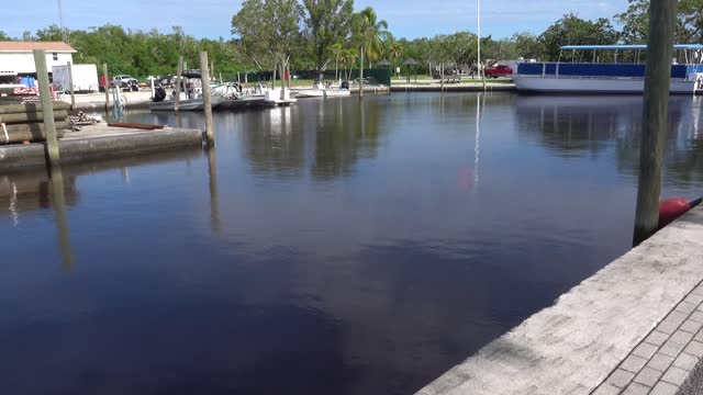 Warming Up to Adaptation - Everglades National Park