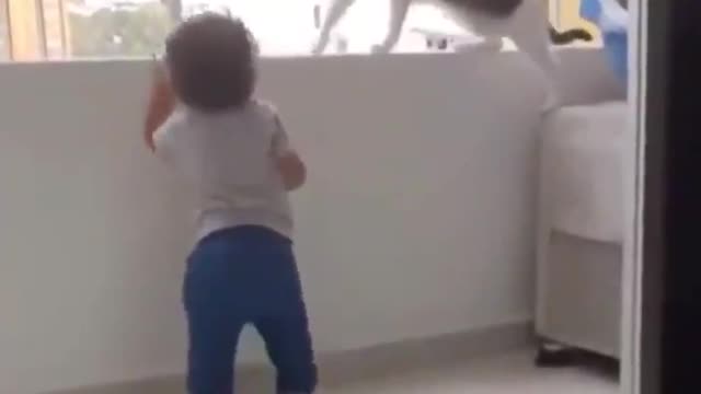 You Know your Child is Safe with this Cat