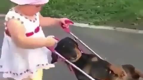 We're going home