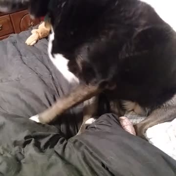 Baby Girl steals mom's side of bed