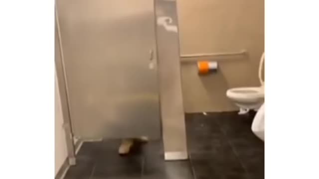 The laugh made this funnier