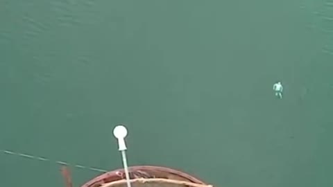 50meters above water backflip into water