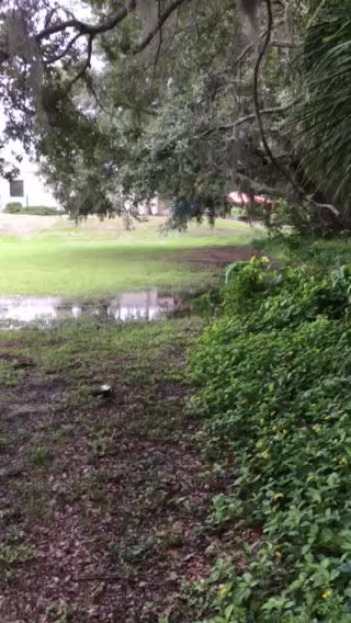 That’s right, just keep on Walkin