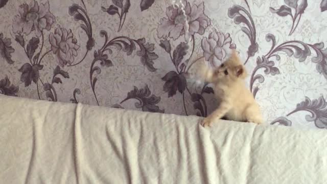Why I can't catсh this?((