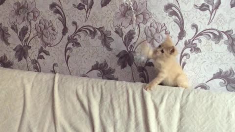 Why I can't catсh this?((