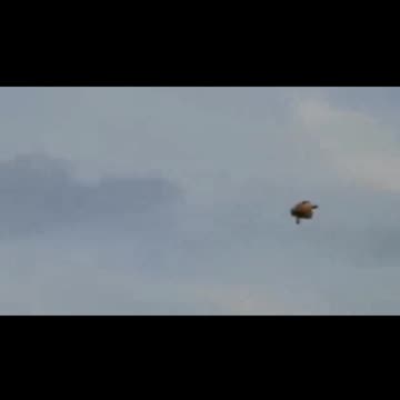 US UAP / UFO Sighting 2024