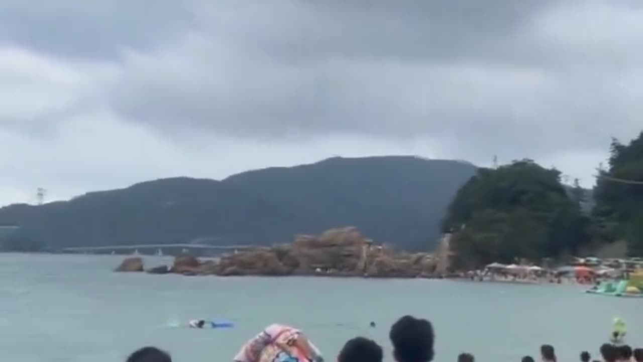 Sexually Frustrated Dolphin Bites 40+ People