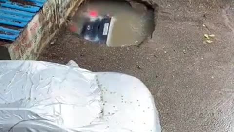 cars diving very funny