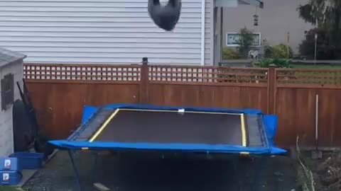 Grey hoodie two backflips trampoline