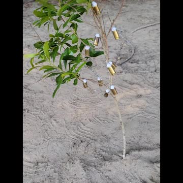 My cure for the Ammo Shortage