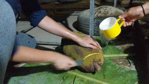 Cutting jackfruit at home easy