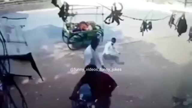 Funny fail| stupidity have no eyes| Don't try to hold back Laughter 😂