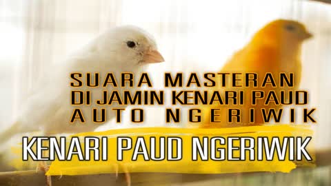 Burung Kenari