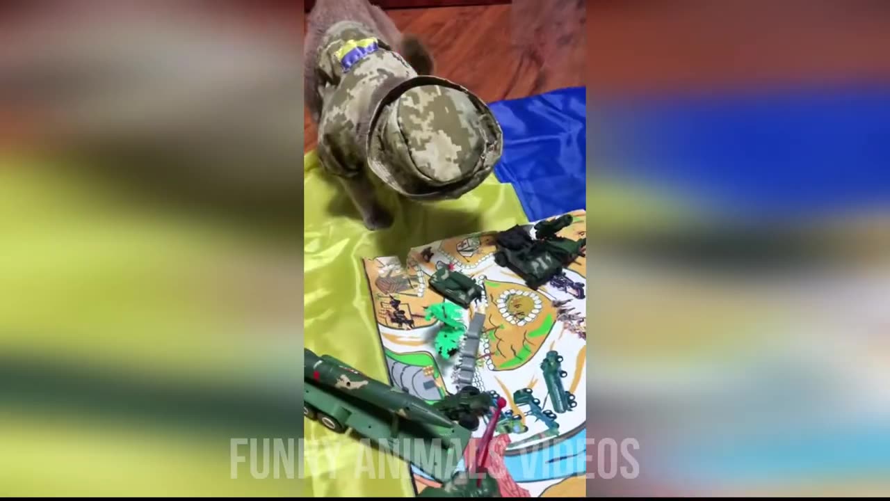 FUNNIEST ANIMAL CLEAN NO SWEARING