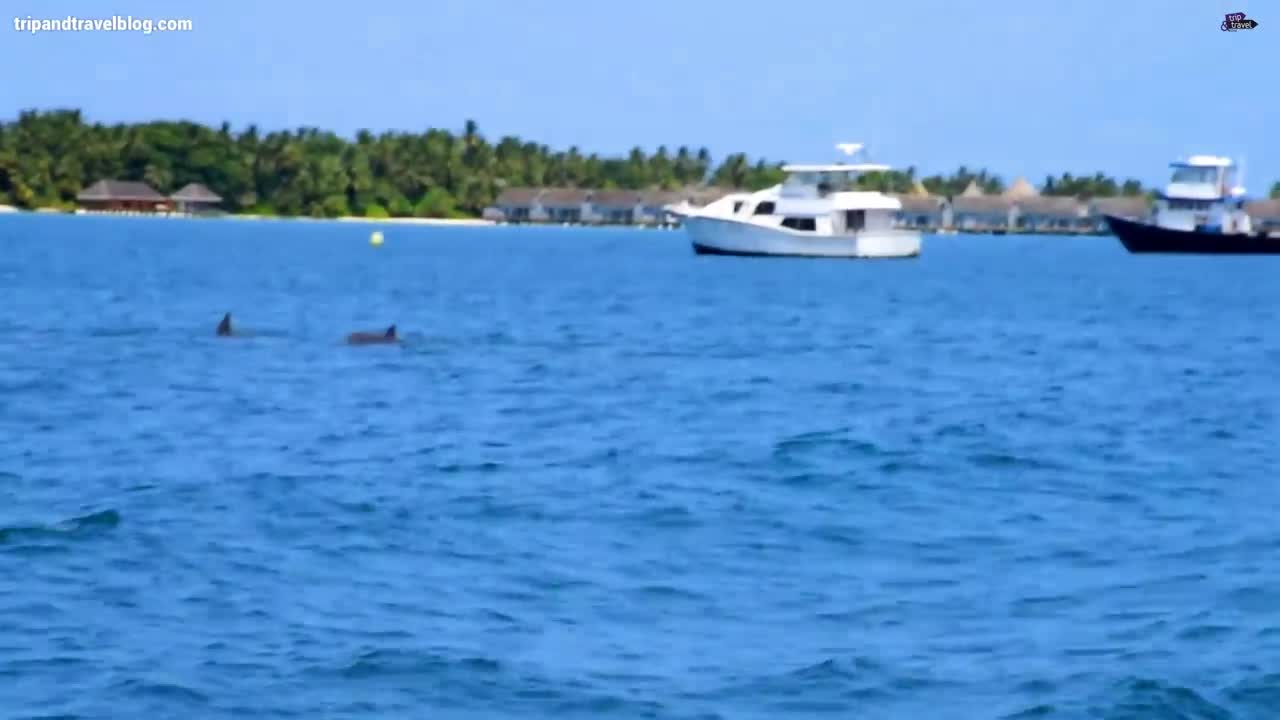 Tourism in Maldives