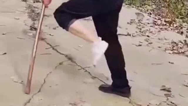 The Good student and it's master