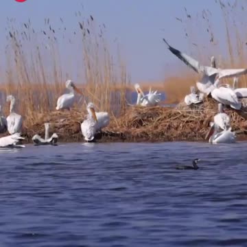 Beautiful scenery and wildlife 😊😍