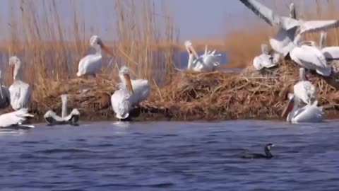 Beautiful scenery and wildlife 😊😍