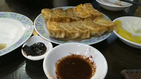 fried chinese dumpling