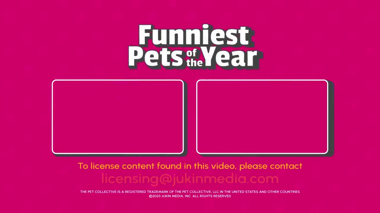 Funniest Pet Videos