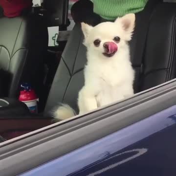 Who is like this every morning? what just happened to the other guy? Fell in sleep?