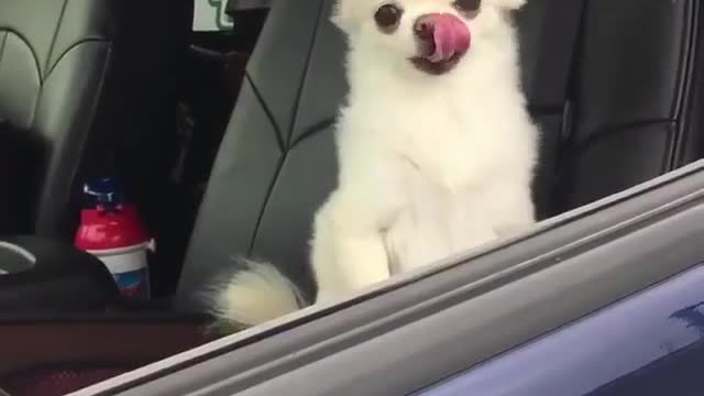 Who is like this every morning? what just happened to the other guy? Fell in sleep?