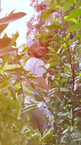 Side Effects May Include...