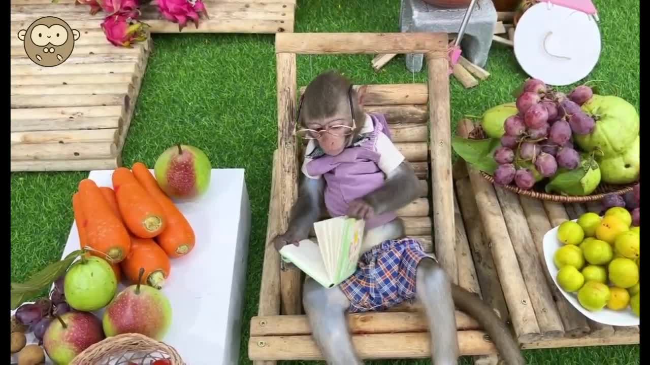 monkey little master eat fruit