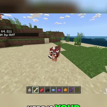 The Evil Eyes of a Rusty Wolf: Unveiling the Sinister Side of Nature