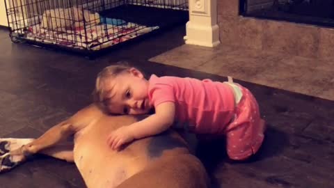 Baby Girl Preciously Cuddles Boxer Best Friend