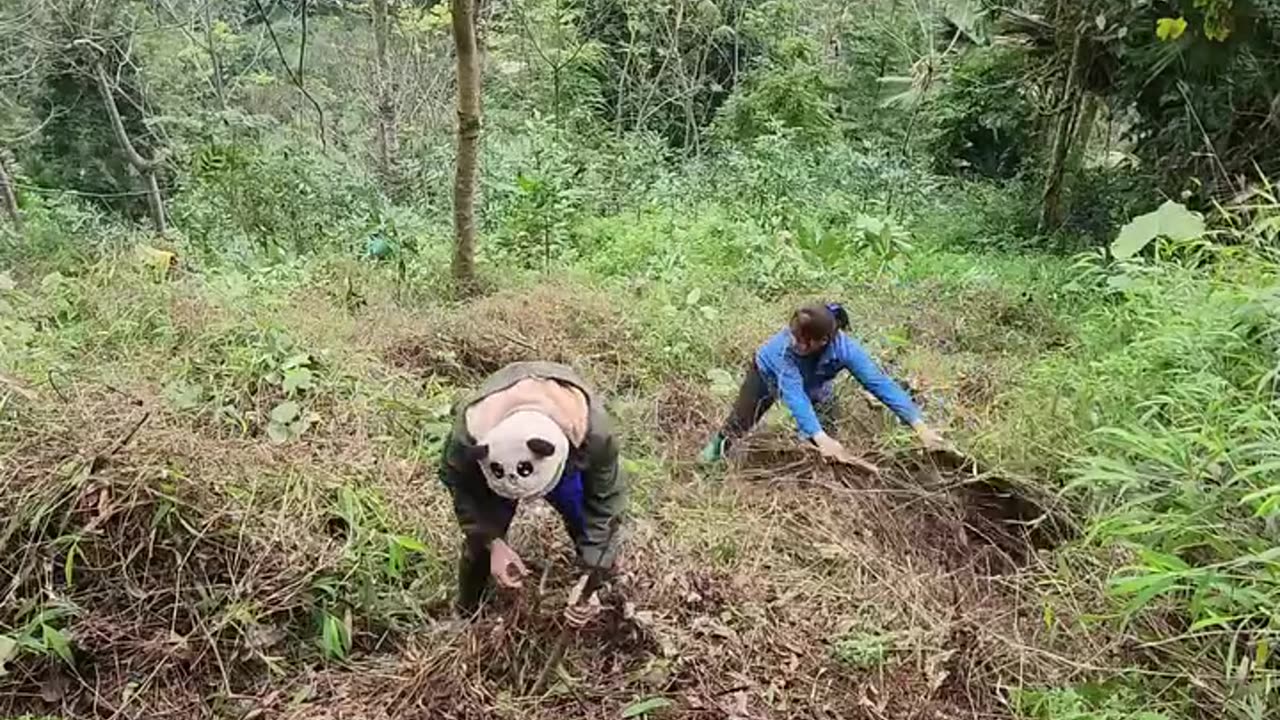 Harvesting & Selling vegetables