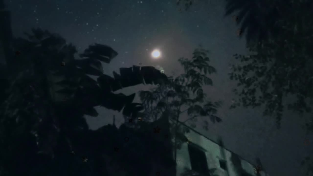 Beautiful moonlight of my home