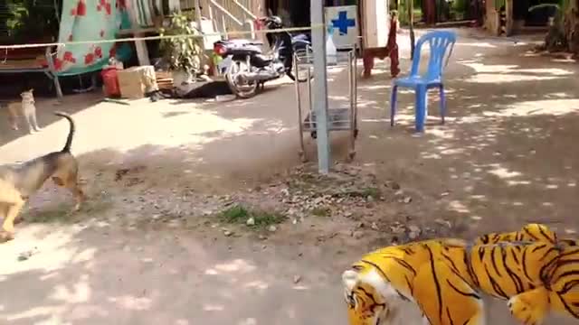 Fake tiger prank on dog gone wrong