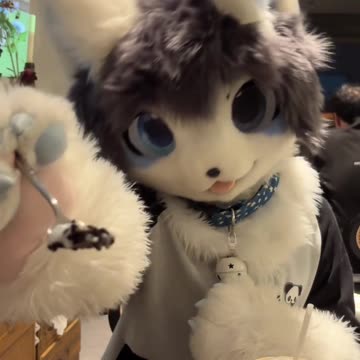 Random Furry Douyin #9