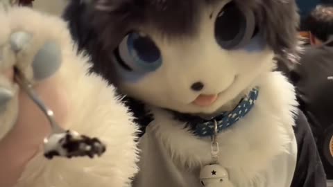 Random Furry Douyin #9