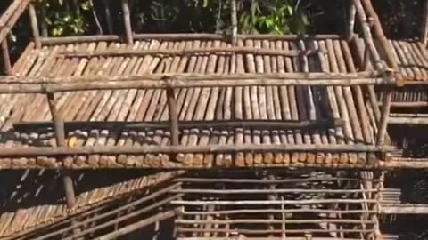 Building Completed in 1 minutes 🤣🤣