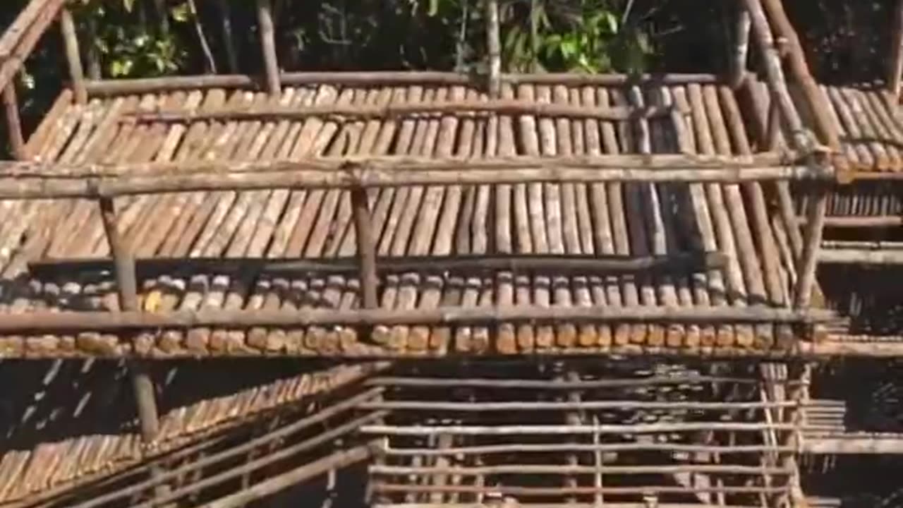 Building Completed in 1 minutes 🤣🤣