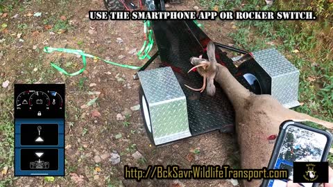 BckSavr Wildlife Transport IN THE FIELD useage.